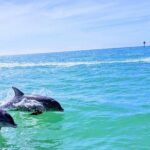 Small Group 2 Hour Dolphin Cruise with Snorkeling to Shell Key - FAQ