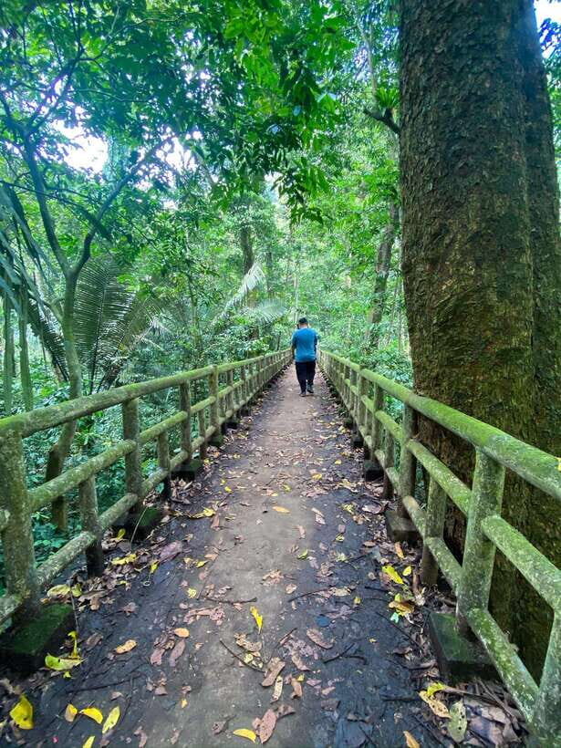 Small Group: CucPhuong National Park 1 day pick up Ninh Binh - Practical Tips for the Tour