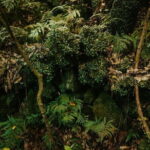 Small Group Day Tour in West Jeju Healing Island - Dolphin Watching at Sindo Port