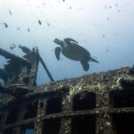 Small-Group Deep Dive in Oahu with Shipwreck and Reef - Who Should Consider This Tour?