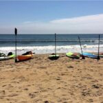 Small Group Dolphin Kayak Eco-Tour - An In-Depth Look at the Virginia Beach Dolphin Kayak Eco-Tour