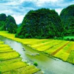 Small Group & Full Day Hoa Lu Tam Coc Mua Cave Tour( Full Inclusions) - Why This Tour Offers Great Value