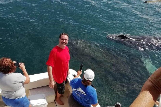 Small-Group Half-Day Whale-Watching Tour in Puerto Vallarta - Deep Dive into the Experience