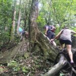 Small-Group Jungle Hiking Excursion in Khao Phra Teaw Park - Who Will Love This Tour?