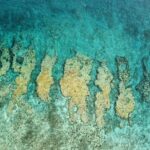 Small Group Key West Snorkel Adventure - FAQs