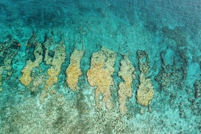 Small Group Key West Snorkel Adventure - FAQs