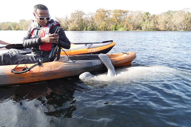 Small Group Manatee Discovery Kayak Tour near Orlando - An In-Depth Look at the Manatee Discovery Kayak Tour