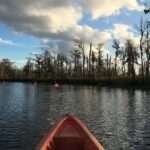 Small-Group Manchac Swamp Kayak Tour - Frequently Asked Questions