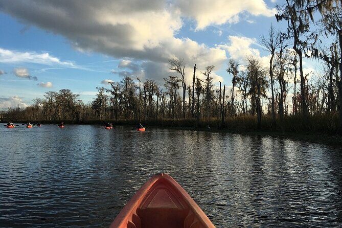 Small-Group Manchac Swamp Kayak Tour - Frequently Asked Questions