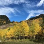 Small Group Mt Rainier National Park Day Tour from Seattle 2CanGo - Final Thoughts