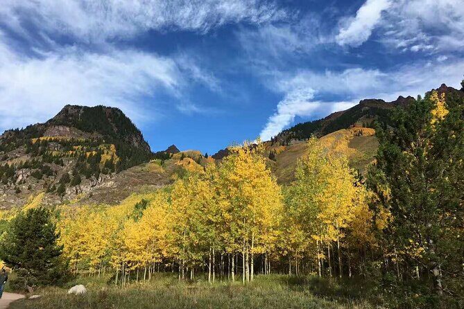 Small Group Mt Rainier National Park Day Tour from Seattle 2CanGo