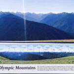 Small Group Olympic National Park Day Tour from Seattle 2CanGo - What’s Included and What’s Not
