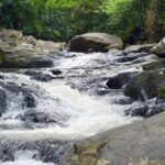 Small-Group Pala U Waterfall Jungle Tour from Hua Hin - Why This Tour Stands Out