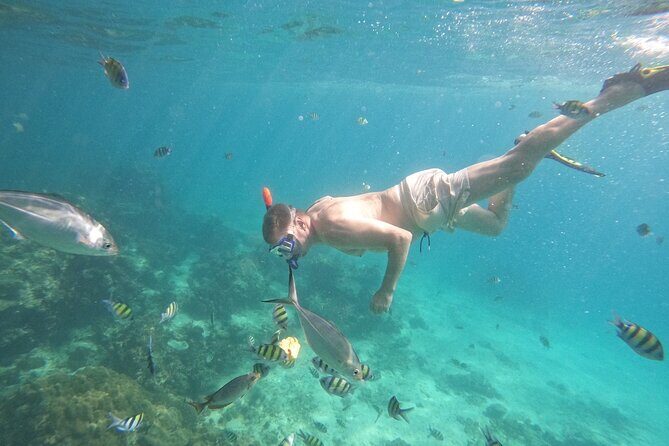 Small Group Phi Phi Islands Sunrise Tour with Seaview Lunch - Final Thoughts