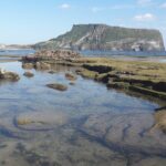 Small group Private Taxi Tour DAY experience in Jeju island - Authenticity and Value