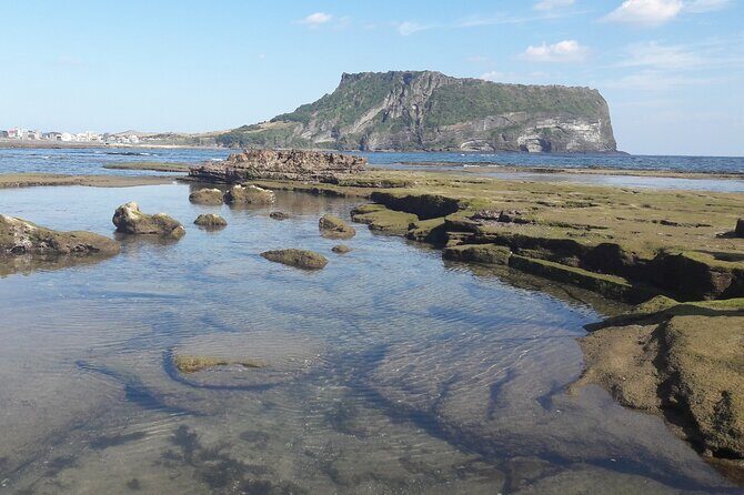 Small group Private Taxi Tour DAY experience in Jeju island - Authenticity and Value