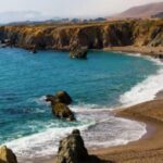 Small Group Redwoods, California Coast & Sausalito Day Trip from San Francisco - The Experience: What You Can Expect