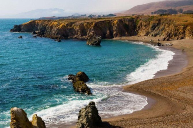 Small Group Redwoods, California Coast & Sausalito Day Trip from San Francisco - The Experience: What You Can Expect