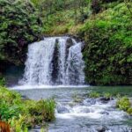 Small Group Road to Hna Tour 6 to 8 passengers - Key Points