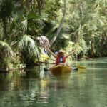 Small Group Rock Springs Run Eco Kayak Adventure - Who Should Consider This Tour?