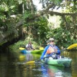 Small Group Scenic Wekiva River Kayak Tour near Orlando - Authentic experiences and authentic guides