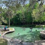 Small Group Silver Springs State Park 1-Day Tour from Orlando - Why This Tour Works for Travelers