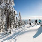 Small Group Tour: Capilano Suspension Bridge and Grouse Mountain from Vancouver - Why This Tour Stands Out