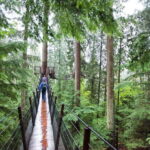 Small group tour of Capilano Bridge & Grouse Mountain - Exploring Vancouver’s Nature and Iconic Sights