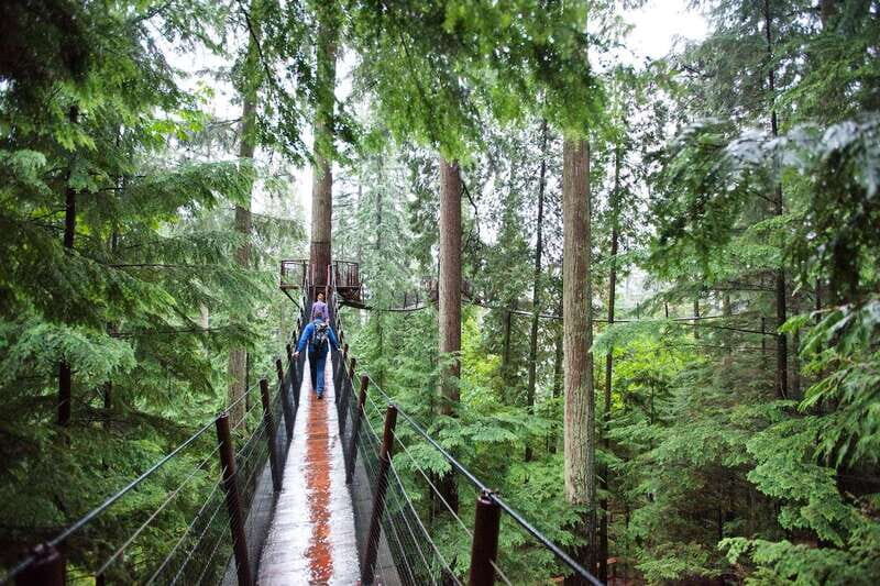 Small group tour of Capilano Bridge & Grouse Mountain - Exploring Vancouver’s Nature and Iconic Sights