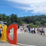 Small Group Tour to DMZ & Suspension Bridge with Hotel Pickup - The Sum Up: Who Should Book This Tour?