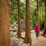 Small Group Tour: Vancouver Sightseeing and Capilano Suspension Bridge - Practical Details: What to Expect
