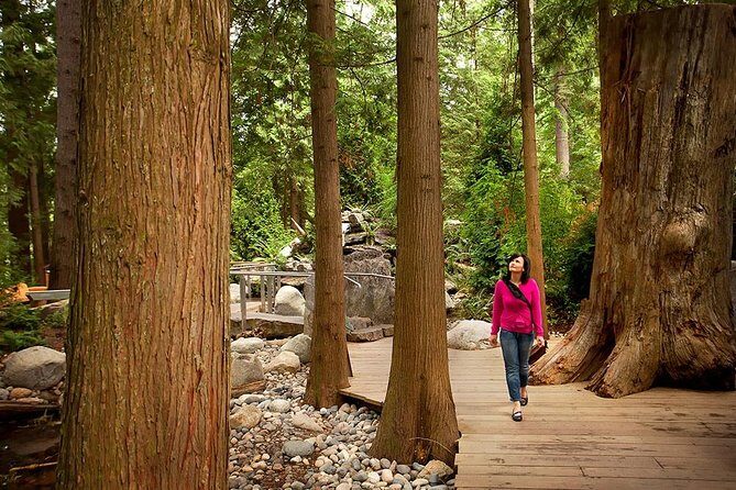 Small Group Tour: Vancouver Sightseeing and Capilano Suspension Bridge - Practical Details: What to Expect