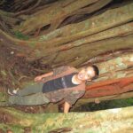 Small Group : Trekking Trip in Chiang Mai (Doi Suthep Area) with Market Tour - Who Should Consider This Tour?