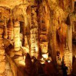 Small Group Washington DC to Shenandoah &Luray Caverns 1-Day Trip - Who Will Love This Tour?