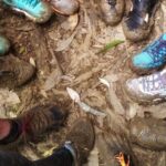 Small Group Waterfall and Rainforest Hiking Adventure on Maui - An In-Depth Look at the Maui Rainforest Hike