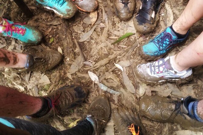 Small Group Waterfall and Rainforest Hiking Adventure on Maui - An In-Depth Look at the Maui Rainforest Hike