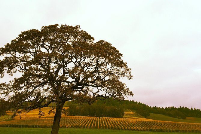 Small Group: Willamette Valley Wine Tour From Portland (Tasting Fees Included) - Frequently Asked Questions (FAQs)