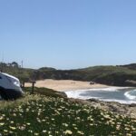 Small-Group Wine Country Tour from San Francisco with Tastings - Who Will Love This Tour?