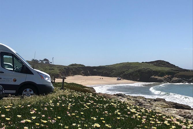 Small-Group Wine Country Tour from San Francisco with Tastings - Who Will Love This Tour?