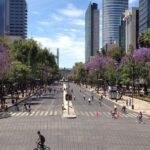 Small VIP Group: The Ultimate Mexico City Tour - A Closer Look at the Mexico City Experience