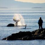 Smartphone Driving Tour between Santa Maria & Monterey 'Big Sur' - The Experience: Pros and Cons