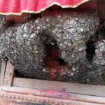 Smells of Kathmandu Walking Day Tour - Why This Tour Offers Great Value