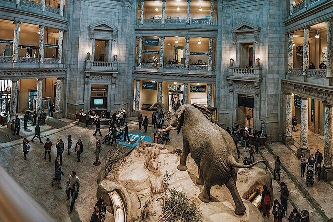 Smithsonian Museum of Natural History - Exclusive Guided Tour - Who Will Love This Tour?