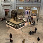 Smithsonian National Museum of Natural History with Guided Tour - What’s Included and What’s Not