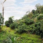 Smoke on the Water Trail Mountain Biking Tour Chiang Mai - Why This Tour Offers Great Value