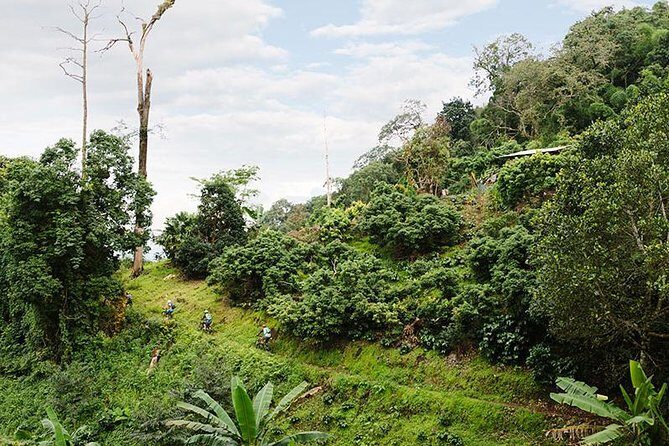 Smoke on the Water Trail Mountain Biking Tour Chiang Mai - Why This Tour Offers Great Value