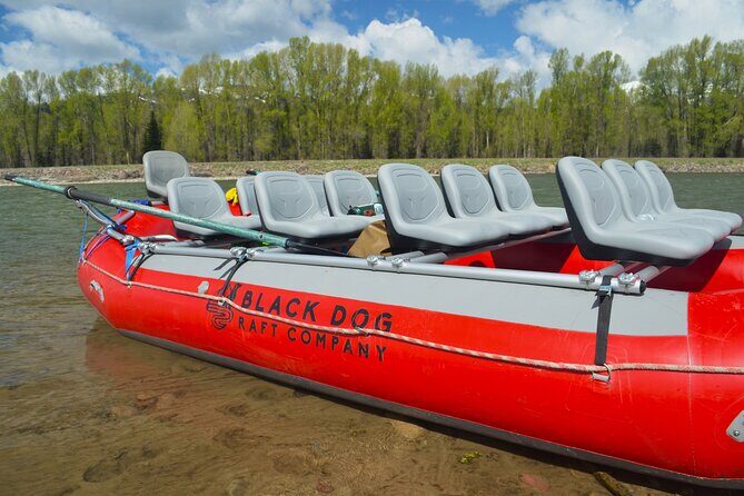 Snake River Scenic Float with Chairs - The Sum Up