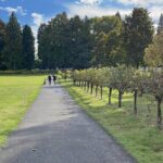 Snoqualmie Falls and Wineries Tour from Seattle - Why This Tour Works for You