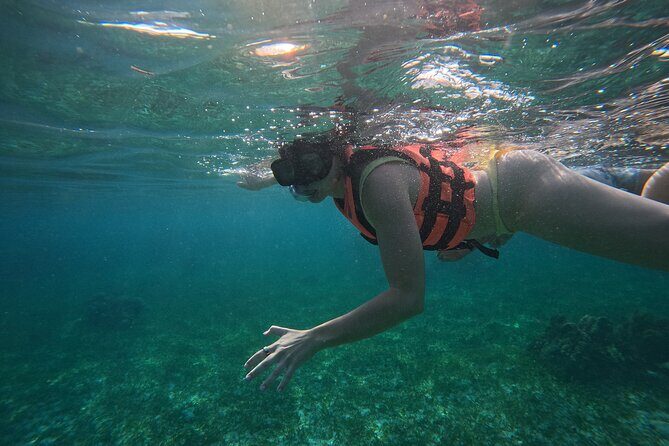 Snorkel at the Reef 2 HOURS Puerto Morelos National park - Who Should Consider This Tour?