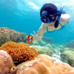 Snorkel & Chill: Nemo Island Trip from Pattaya - Practical Details and Tips